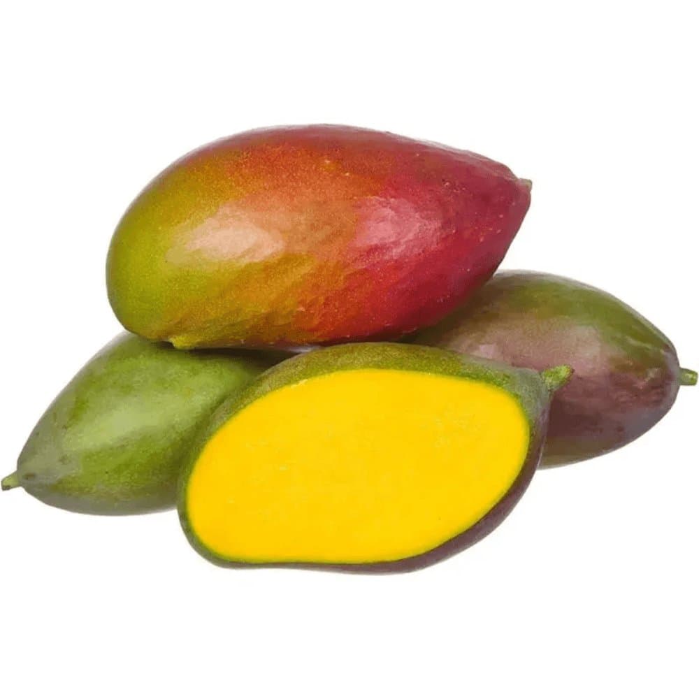 Manga palmes