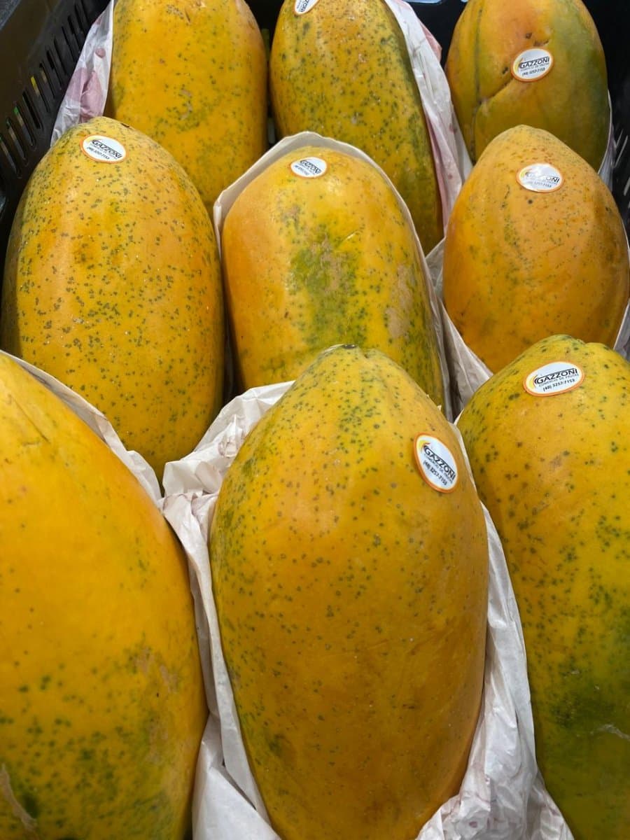 Mamão formosa