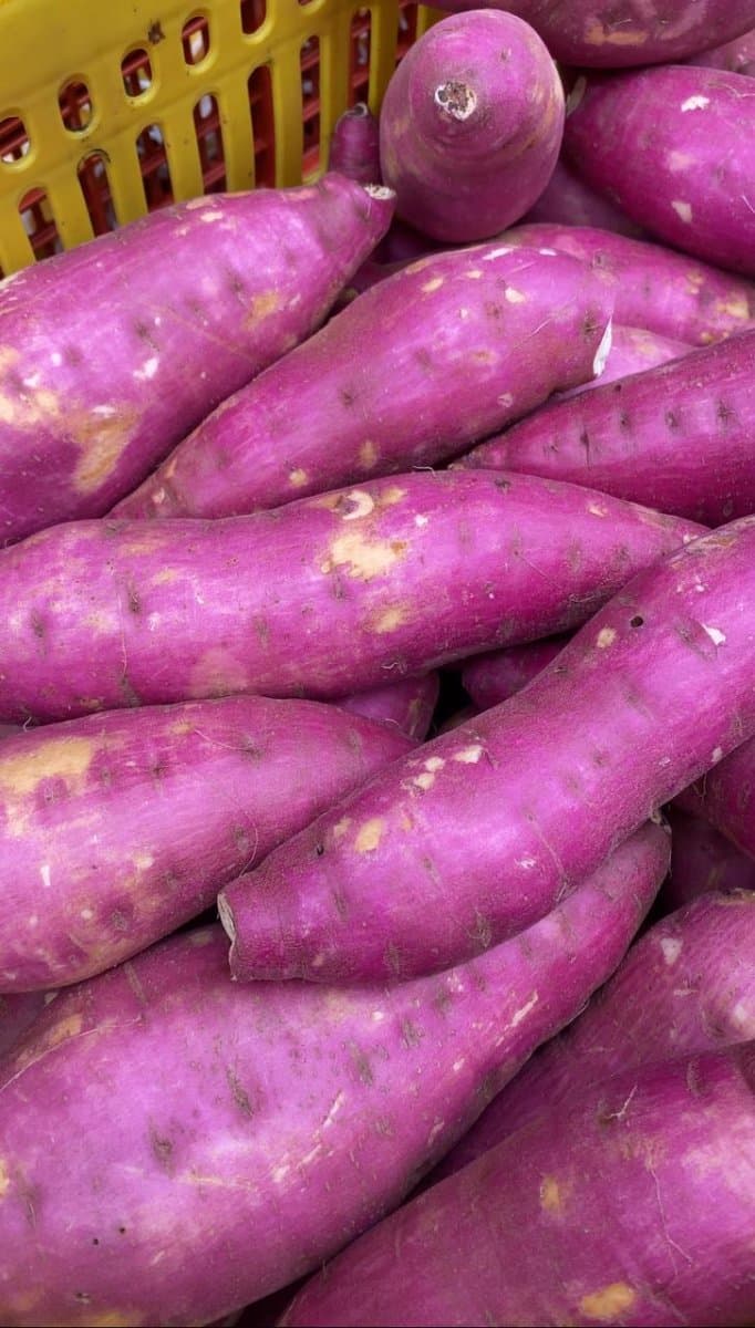 Batata doce