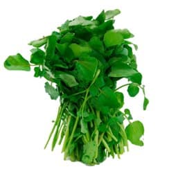 Agrião